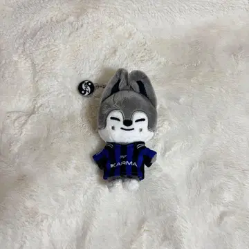 StrayKids KARMA skzoover. 울프찬