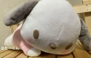 포차코 봉제 인형