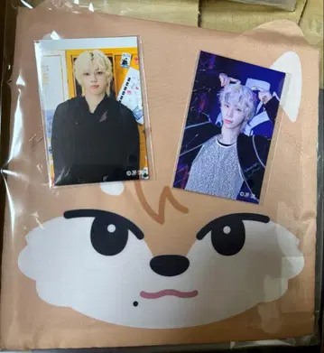 NEXZ 소곤 곤스키 에코백 FC 온라인 복권