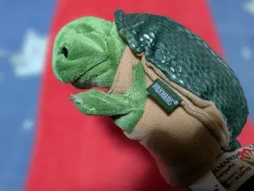 핸드퍼펫 거북이