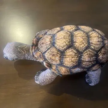 와일드 그래프 코끼리거북 봉제 인형