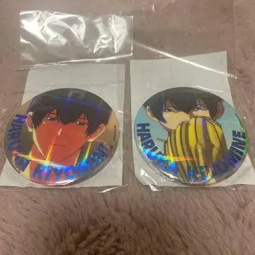 망각 배터리 청봉엽류화 호로호로 캔뱃지 점페스 2세트