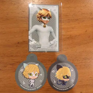 Miraculous Ladybug & Cat Noir