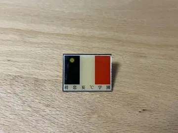 going steady 초기 첫사랑 망도 학원 핑 배지