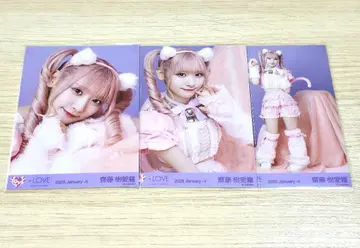 이코라브 사이토 쥬아라 고양이 의상 브로마이드 컴프