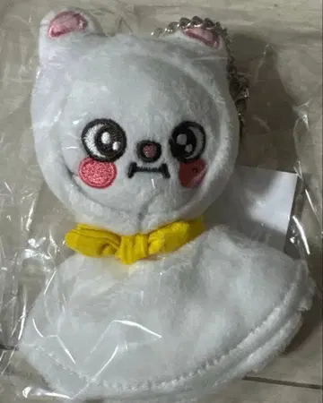 Stray Kids 테루테루보즈 SKZOO 지니레트 현진