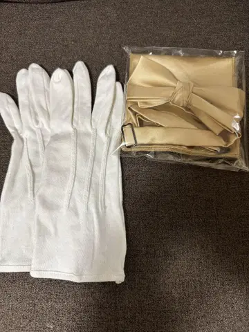 화이트 그로브와 샴페인 골드의 나비 넥타이 세트