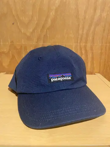 patagonia 네이비 캡