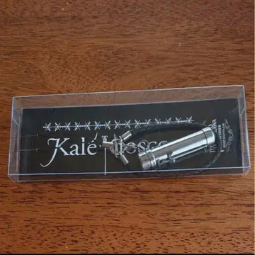 THE ALFEE 타카미자와 토시히코 키링