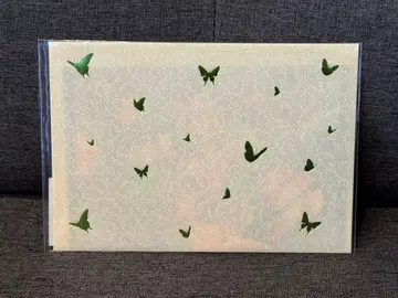 아라키 히로히코 원화전 죠죠 제6부 스톤 오션 엽서 2매 세트