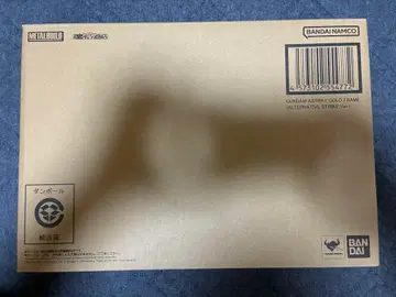 METAL BUILD 건담 아스트레이 골드 프레임 얼터너티브 Ver