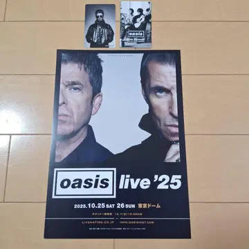 Oasis 2025 라이브 플라이어 1장 카드 2장