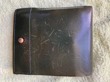 엠피우 피아스트라2