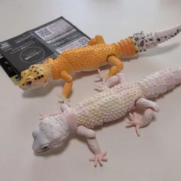 생물대도감 어드밴스 레오파드 도마뱀 탄제린 브리자드