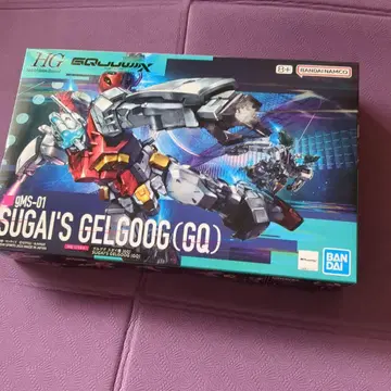 건담 프라모델 미조립품) HG 1/144 겔구그 스가이 기체(GQ)