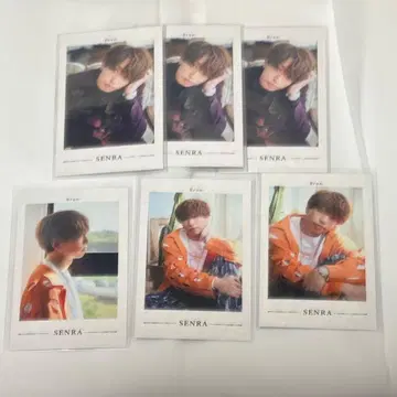 센라 랜덤 미니 포토 카드 폴라로이드 Brun 6장 세트 수트