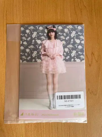 노기자카46 브로마이드 할로윈 2025년 5매 세트 하야시 루나 미개봉품