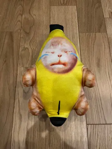 새상품 고양이 밈 봉제 인형