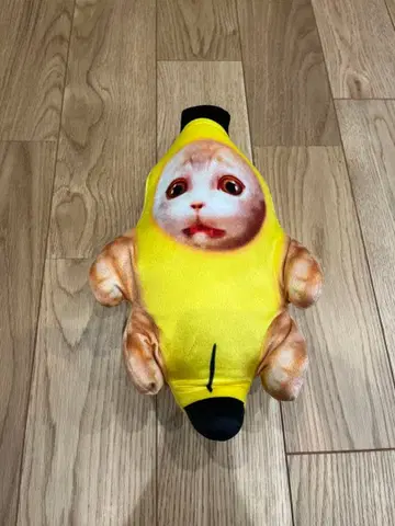 새상품 고양이 밈 봉제 인형