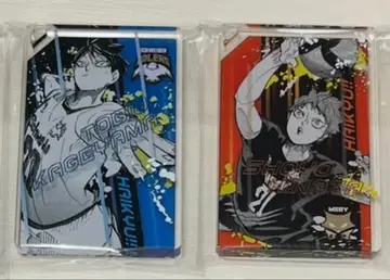 하이큐 히나타 카게야마 오이카와의 전원 격파 도미노풍 아크릴 키링 컬렉션