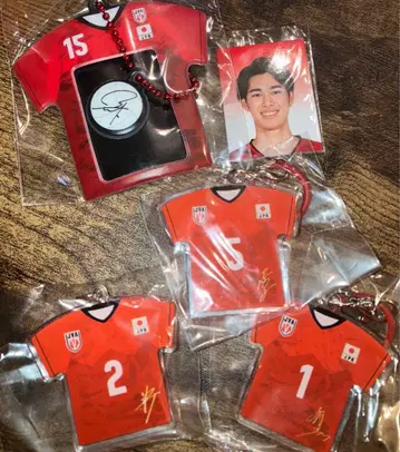 남자 배구 메지루시 참 유니폼 미니 사진 홀더