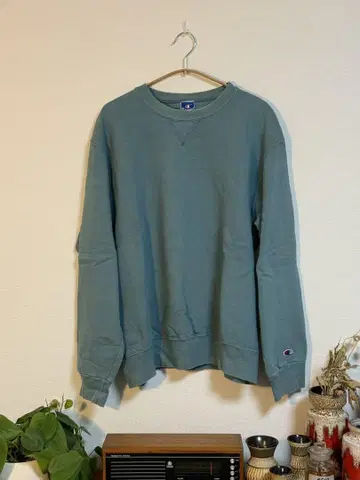 Champion 90s 빈티지 맨투맨 USA제 자수 택 무지