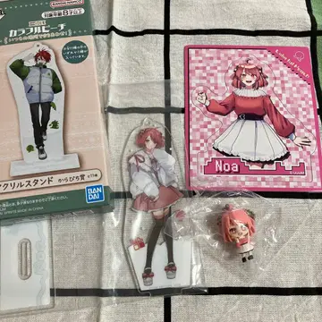 컬러풀 피치 노아 세트 판매