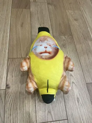 새상품 고양이 밈 봉제 인형
