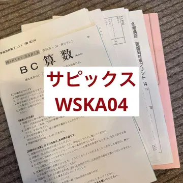 사피 초6 개성 WSKA04