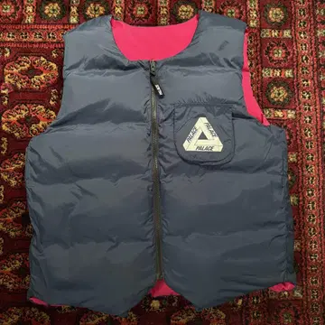 PALACE GORE-TEX INFINIUM DOWN VEST