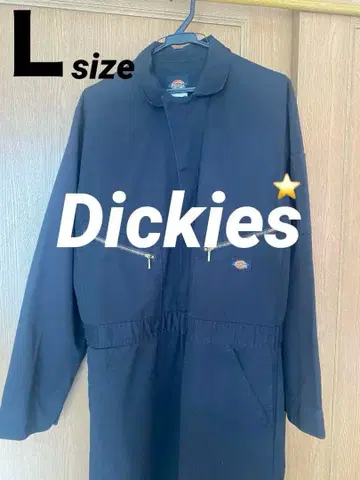 Dickies 블랙 오버롤 L