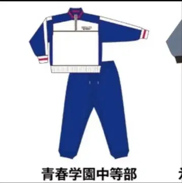 테니스의 왕자님 돈키호테 청학 저지