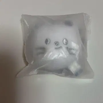 FACE KEYRING 실버 ver. 지니레트 skzoo