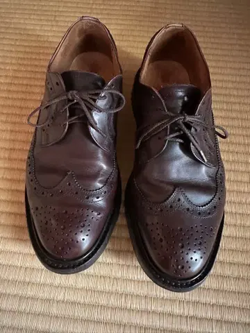 트리커스 컨트리 슈즈 다크 브라운