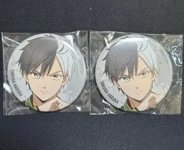 WIND BREAKER 윈브레 사쿠라 하루카 베이스야드 캔뱃지 2개