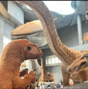 새상품 택 포함 후쿠이 공룡 박물관 한정판 후쿠이베나토르 봉제 인형 키링