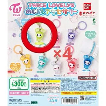 TWICE LOVELY'S 메지루시 액세서리 정연 4개 세트