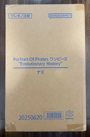 원피스 P.O.P 나미 Evolutionary History