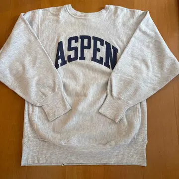 90s 챔피온 리버스 위브 USA