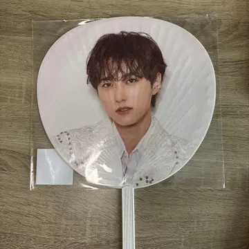 오자키 타쿠미 부채 돔