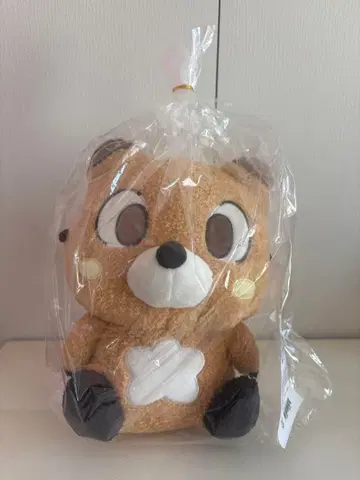 EVNNE EVNNIZ 케이타 이타그리 25cm 봉제 인형