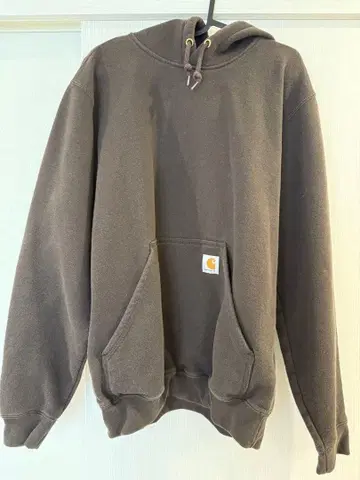 carharrte 후드티