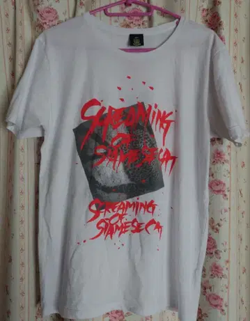 The Birthday T셔츠 L 사이즈