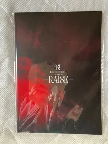 도모토 코이치 LIVE TOUR 2025 RAISE 팜플렛