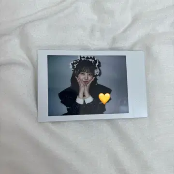 후쿠마루 우사 런치 폴라로이드