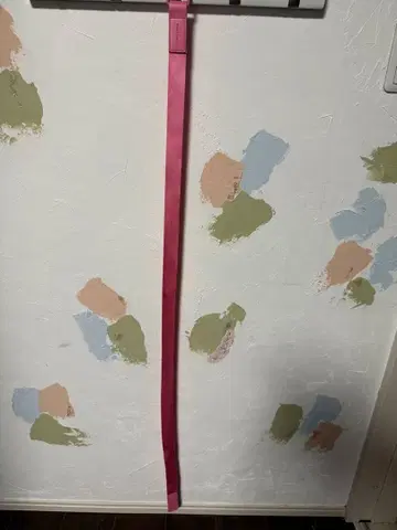 MAISON SPECIAL 핑크 벨트