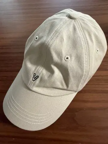 BTS V 태태 Layover 캡