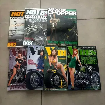 HOT BIKE 바이브스 하드코어 초파 2007년~2008년