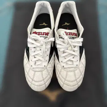 모렐리아 2 Japan 25.5 크로스 스티치