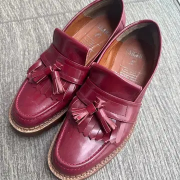 엄빌리컬/도쿄 보퍼 로퍼